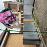 Интерактивные Цветы