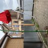 Интерактивные Цветы