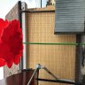 Интерактивные Цветы